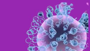 H3N2-10-Important-Facts-about-Influenza-A-Virus-Subtype-H3N2