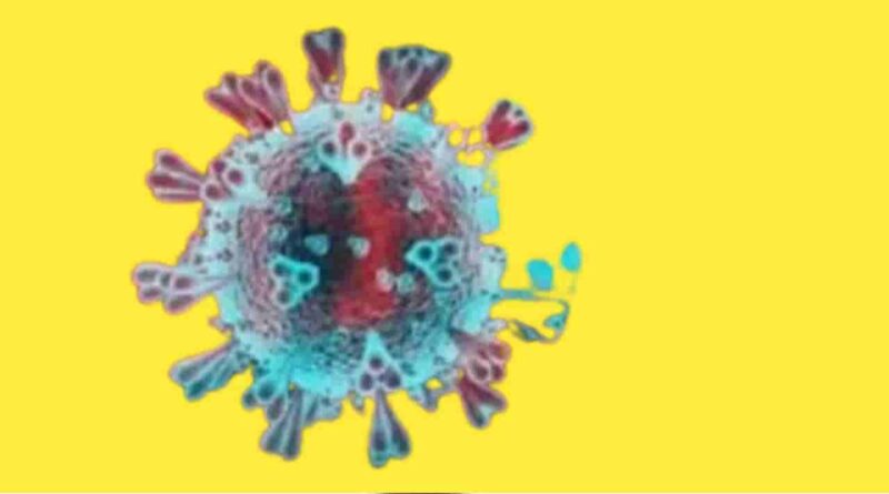 H3N2-10-Important-Facts-about-Influenza-A-Virus-Subtype-H3N2