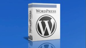 WordPress-Blog-Sparkle-24-Setting-Up-a-Basic-WordPress-Blog-That-Features-Your-Passion! 